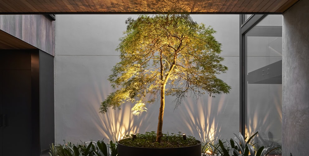 High-quality outdoor lighting for feature trees and plants